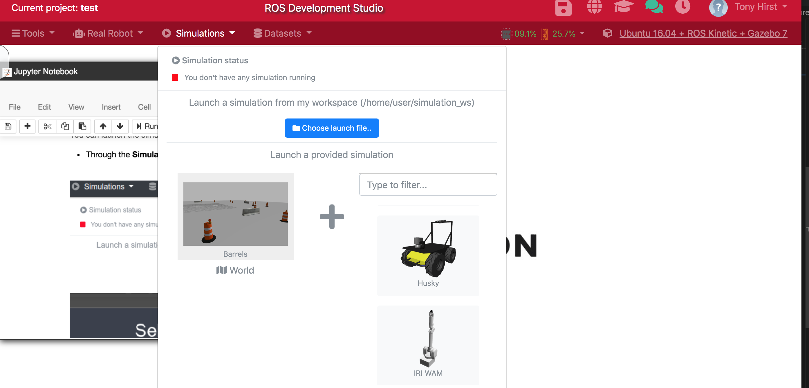 ROS simulation construction from world and robot