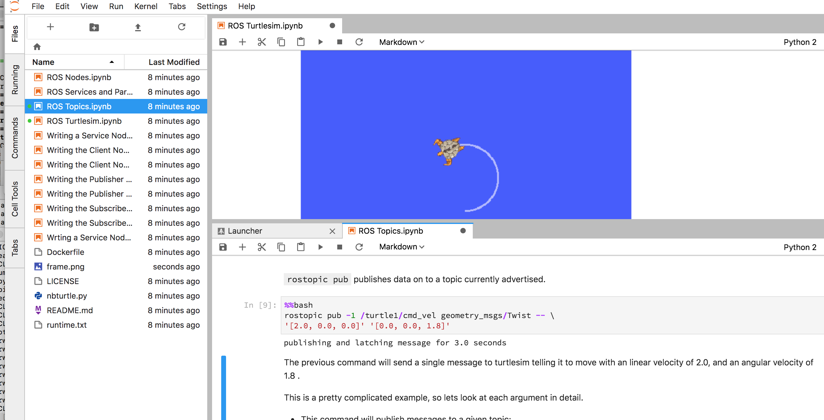 ROS Turtlesim in binder notebook demo