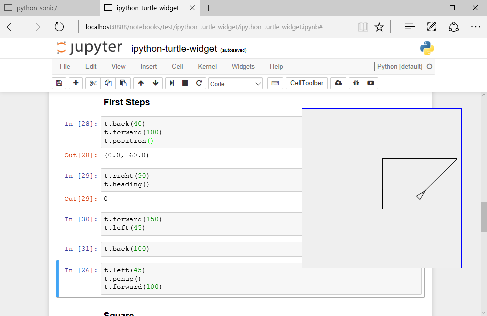 ipyturtle in Jupyter notebook